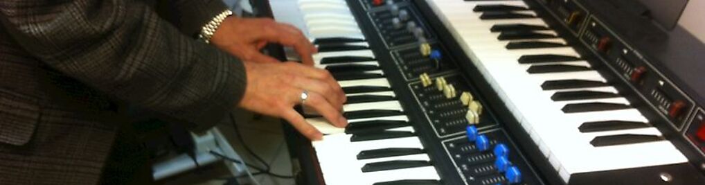 Zdjęcie w galerii Naprawa Instrumentów Muzycznych Musicton nr 1