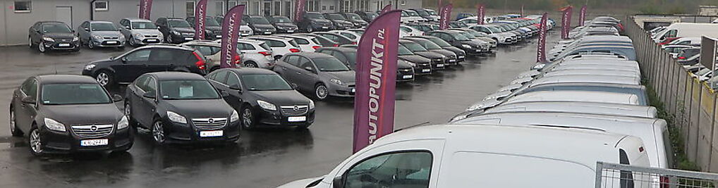Zdjęcie w galerii Autopunkt.pl nr 1