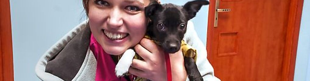 Zdjęcie w galerii Ośrodek Zdrowia Psa i Kota Vetimedica - Lekarz Weterynarii nr 6