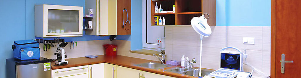 Zdjęcie w galerii Ośrodek Zdrowia Psa i Kota Vetimedica - Lekarz Weterynarii nr 4