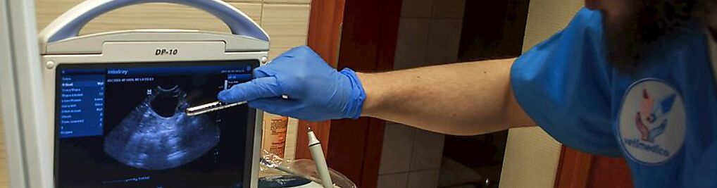 Zdjęcie w galerii Ośrodek Zdrowia Psa i Kota Vetimedica - Lekarz Weterynarii nr 5