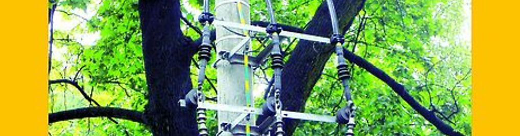 Zdjęcie w galerii PPHU Tranzex Sp. z o.o. nr 8