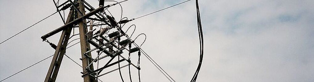 Zdjęcie w galerii PPHU Tranzex Sp. z o.o. nr 10