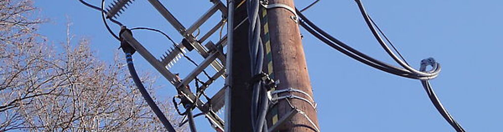 Zdjęcie w galerii PPHU Tranzex Sp. z o.o. nr 2