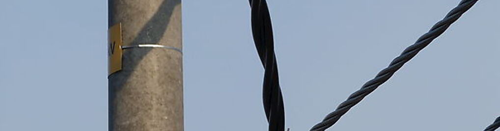 Zdjęcie w galerii PPHU Tranzex Sp. z o.o. nr 5