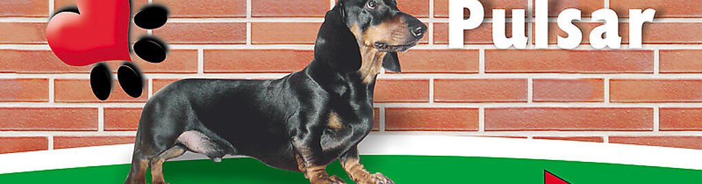 Zdjęcie w galerii Przychodnia Weterynaryjna Pulsar nr 2