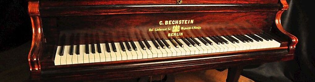 Zdjęcie w galerii Pianina Fortepiany Service Marek Musiał nr 6