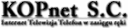 Logo - KOPnet s.c. Marek Szczudło, Juliusz Kostrzewski, Gliwice 44-117 - Przedsiębiorstwo, Firma, godziny otwarcia, numer telefonu