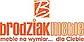 Logo - Zakład Meblowy Józefa Brodziak, Kolejowa 69A, Międzybórz 56-513 - Zakład stolarski, numer telefonu