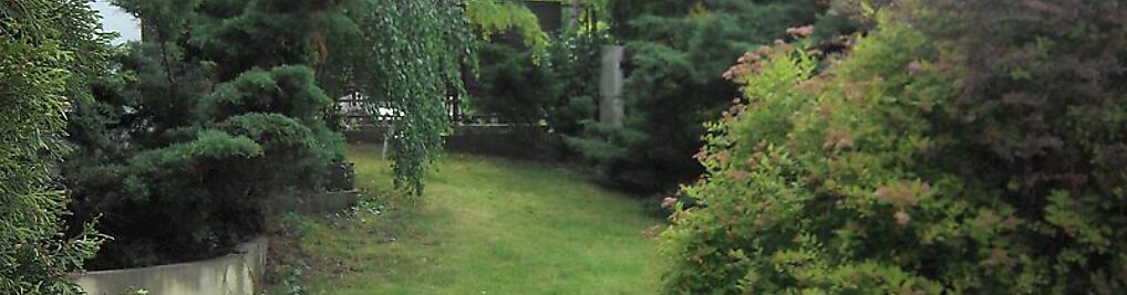 Zdjęcie w galerii COPOINT2 nr 5