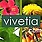 Logo - 