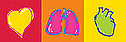 Logo - Schiller Poland Sp. z o.o., Rolna 157, Warszawa 02-729 - Przedsiębiorstwo, Firma, godziny otwarcia, numer telefonu