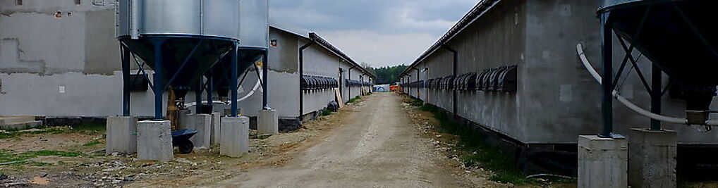Zdjęcie w galerii Pelagius Consulting - Krzysztof Czechowski nr 1