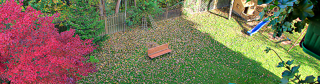 Zdjęcie w galerii LIRA nr 9