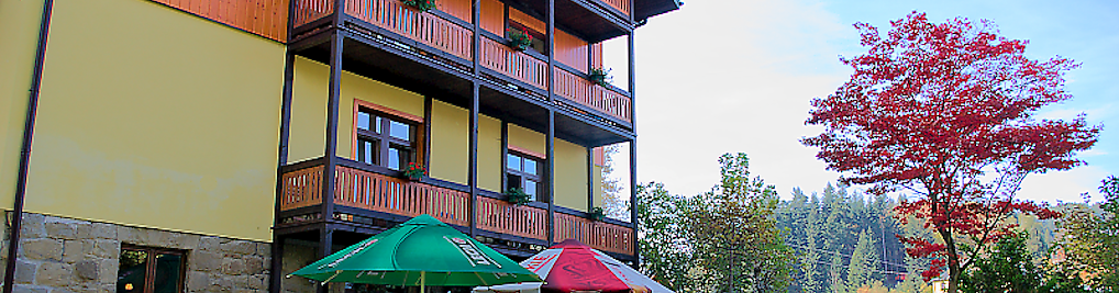 Zdjęcie w galerii LIRA nr 6