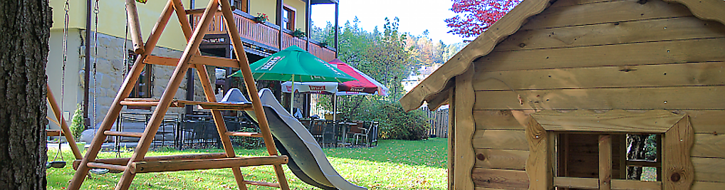 Zdjęcie w galerii LIRA nr 10