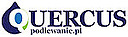 Logo - 
