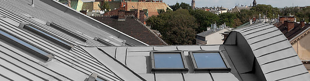 Zdjęcie w galerii Krak Zinc S C nr 1