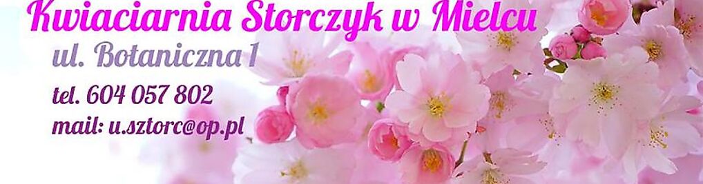 Zdjęcie w galerii Storczyk nr 5
