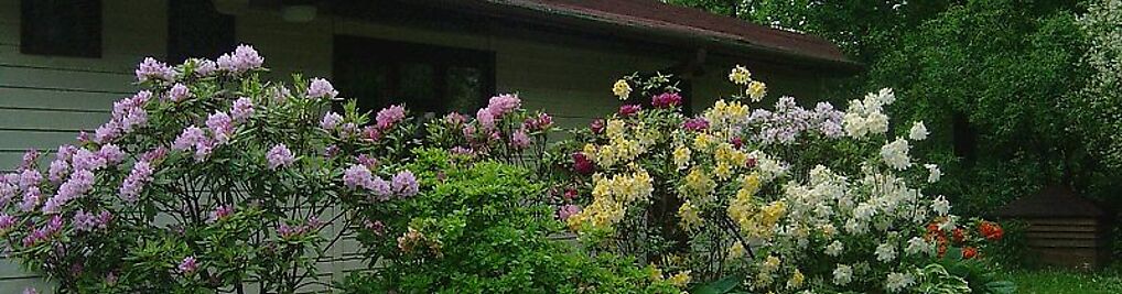 Zdjęcie w galerii Kwatera prywatna Agroturystyka nr 7