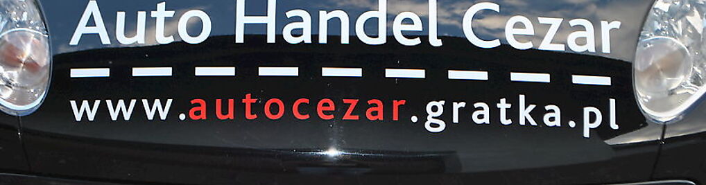 Zdjęcie w galerii AUTO HANDEL CEZAR nr 1