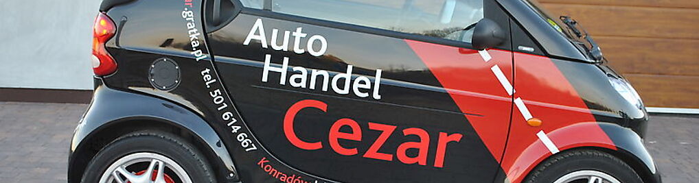 Zdjęcie w galerii AUTO HANDEL CEZAR nr 2
