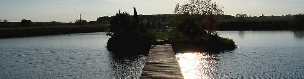 Zdjęcie w galerii Łowisko Wędkarskie nr 5