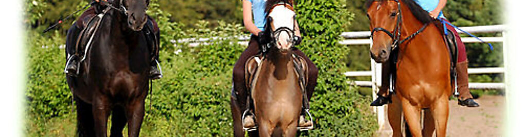 Zdjęcie w galerii Black Horse Team - Nauka jazdy konnej - Gdańsk Owczarnia nr 4