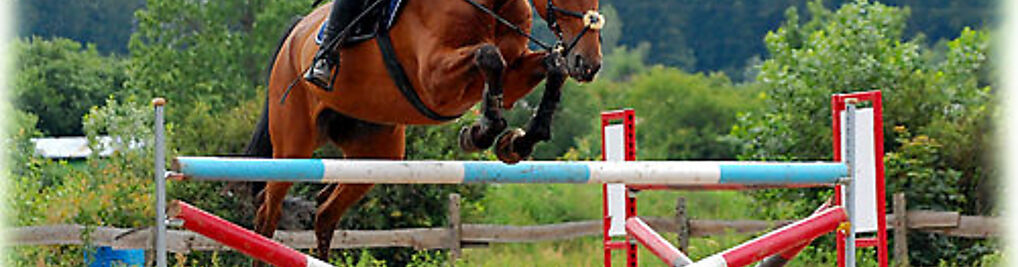 Zdjęcie w galerii Black Horse Team - Nauka jazdy konnej - Gdańsk Owczarnia nr 3