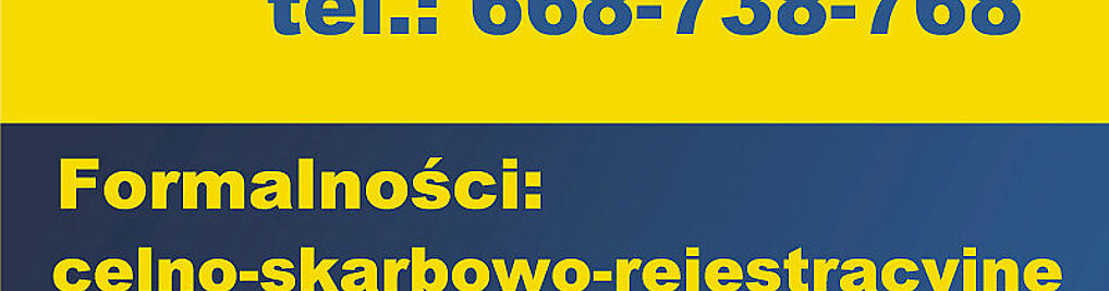 Zdjęcie w galerii Mini-autohandel.pl nr 3