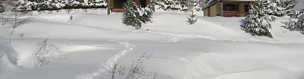 Zdjęcie w galerii Domki całoroczne El Coyote nr 10