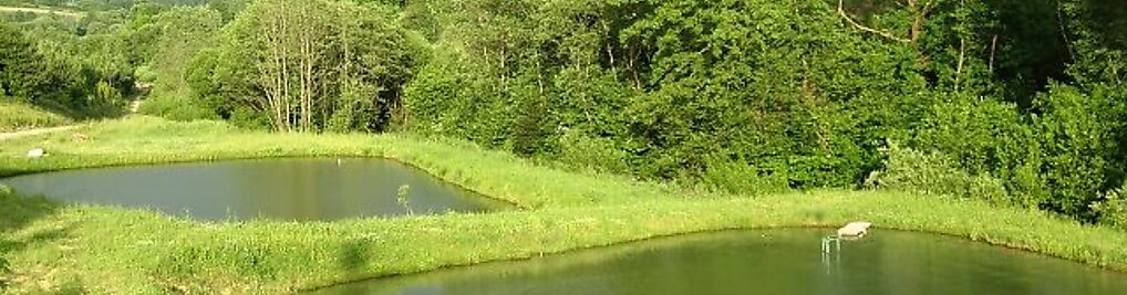 Zdjęcie w galerii Domki całoroczne El Coyote nr 9