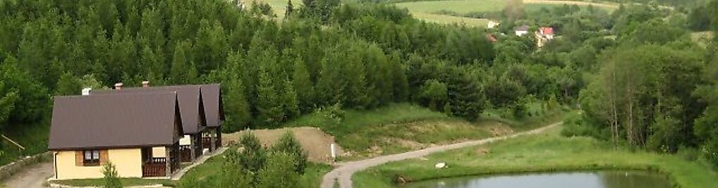 Zdjęcie w galerii Domki całoroczne El Coyote nr 8