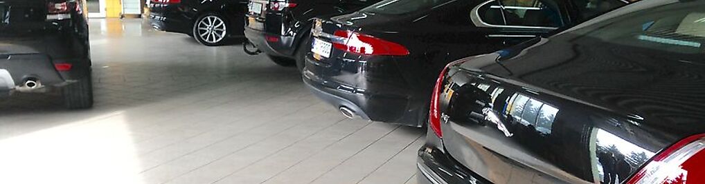 Zdjęcie w galerii Altoma Pruszyński Tomasz Pruszyński nr 1