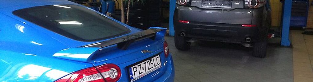 Zdjęcie w galerii Altoma Pruszyński Tomasz Pruszyński nr 5