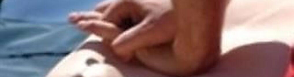 Zdjęcie w galerii MAZIMED Piotr Mazur nr 5