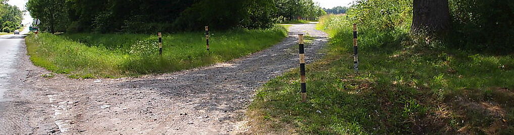 Zdjęcie w galerii Best Total Sp. z o.o. nr 1