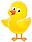 Logo - Niepubliczne Przedszkole 'Kurczaczek', Zgierz 95-100 - Przedszkole, godziny otwarcia, numer telefonu