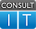 Logo - Consult IT Łukasz Wójcik, Piotrkowska 276, Łódź 90-361 - Informatyka