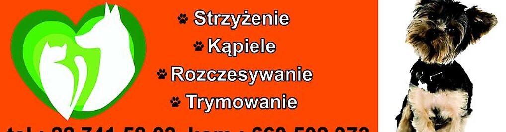 Zdjęcie w galerii Przychodnia Weterynaryjna Toris nr 2