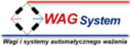 Logo - WAGSYSTEM Michał Sławiński, Borek Szlachecki 177, Skawina 32-050 - Przedsiębiorstwo, Firma, godziny otwarcia, numer telefonu