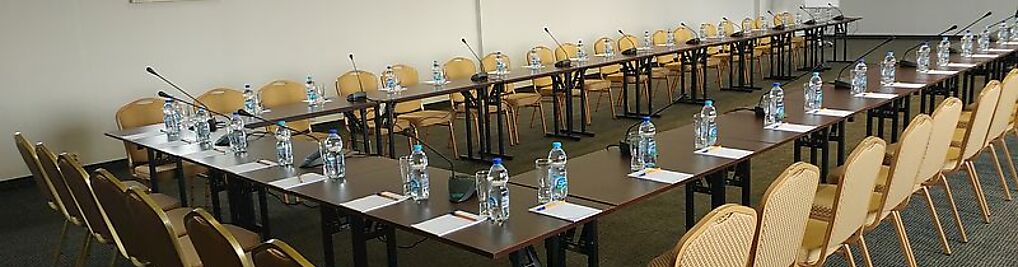 Zdjęcie w galerii Sobienie Królewskie nr 5