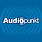 Logo - Sound Project Audiopunkt Artur Mierzwiak, Stefana Batorego 35 02-591 - Przedsiębiorstwo, Firma, godziny otwarcia, numer telefonu