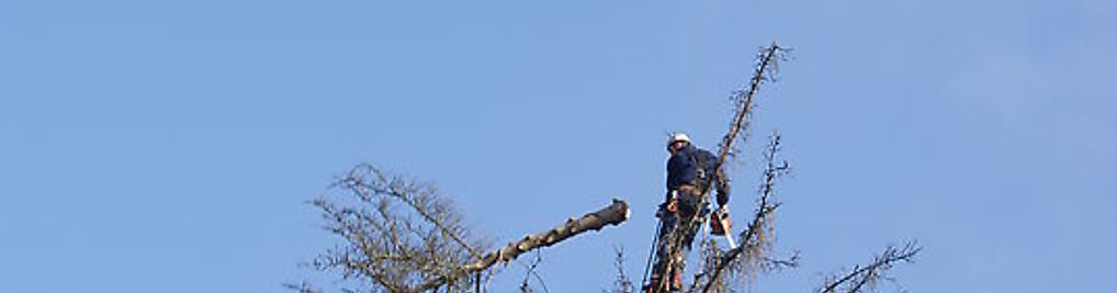 Zdjęcie w galerii Arbotrek Paweł Oleszkiewicz nr 3