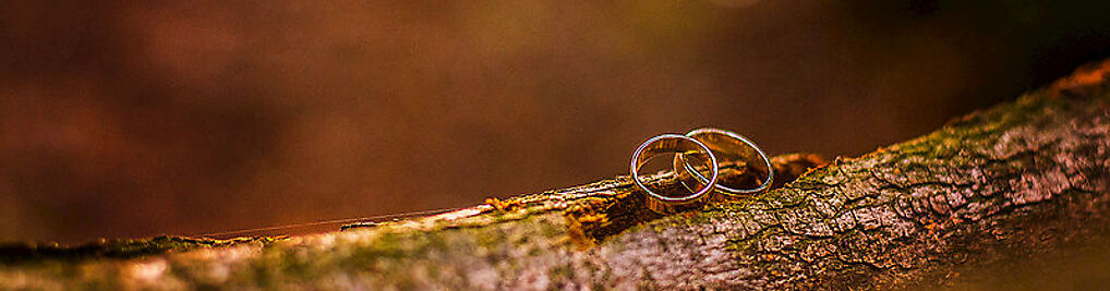 Zdjęcie w galerii Jacek Blaumann - Jacek Blaumann nr 1