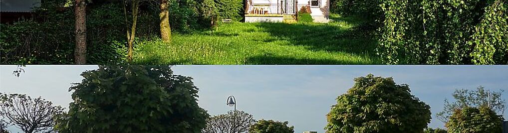 Zdjęcie w galerii Willa Żaba nr 1