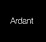 Logo - Ardant sp z o.o., marsz. Piłsudskiego Józefa 85, Puławy 24-100 - Sklep, godziny otwarcia