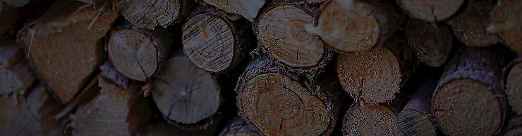 Zdjęcie w galerii Old Oak Drewniane zegarki dodatki i akcesoria nr 3