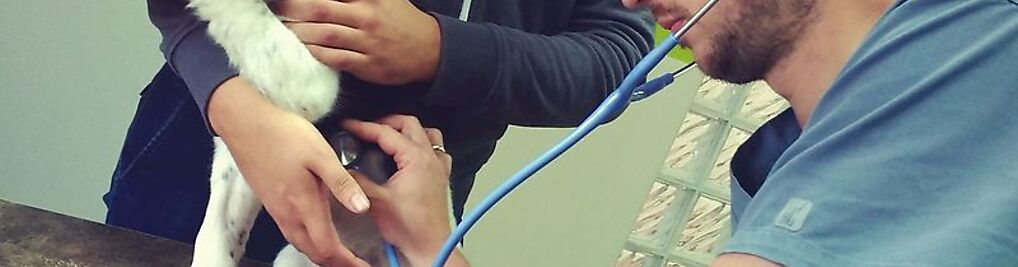 Zdjęcie w galerii Gabinety weterynaryjne OmniVet nr 1