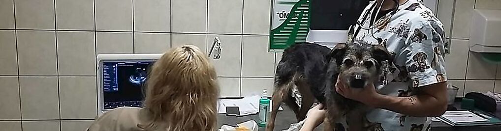 Zdjęcie w galerii Gabinety weterynaryjne OmniVet nr 5